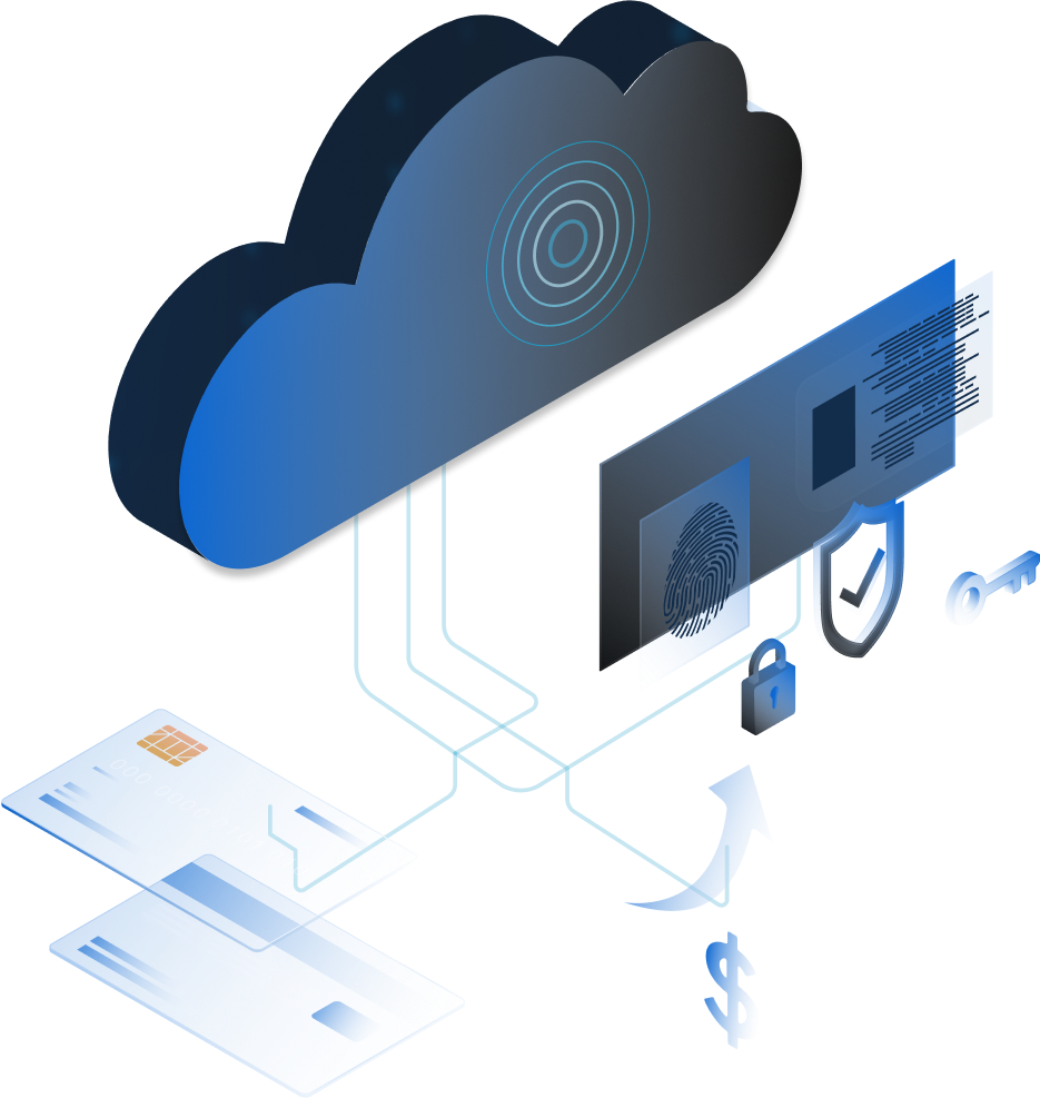 DataSub Shopify Custom Software Development for Fintech Online Services and APIs